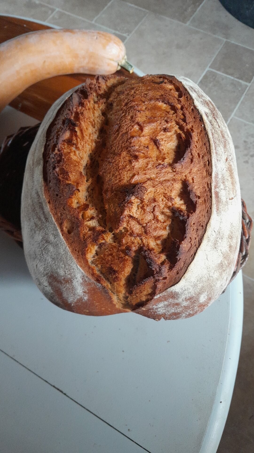 Blé complet T110